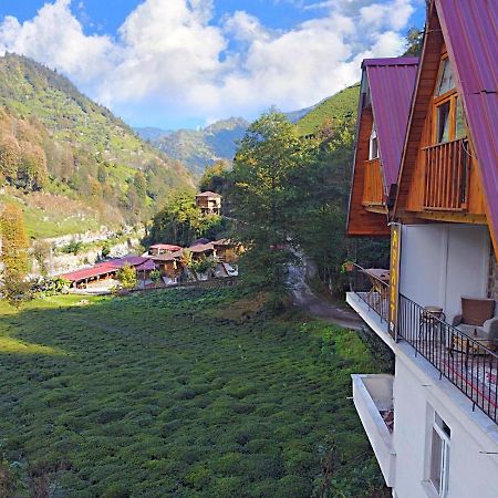 Naturel Apart Bungalow Villa Çamlıhemşin Buitenkant foto