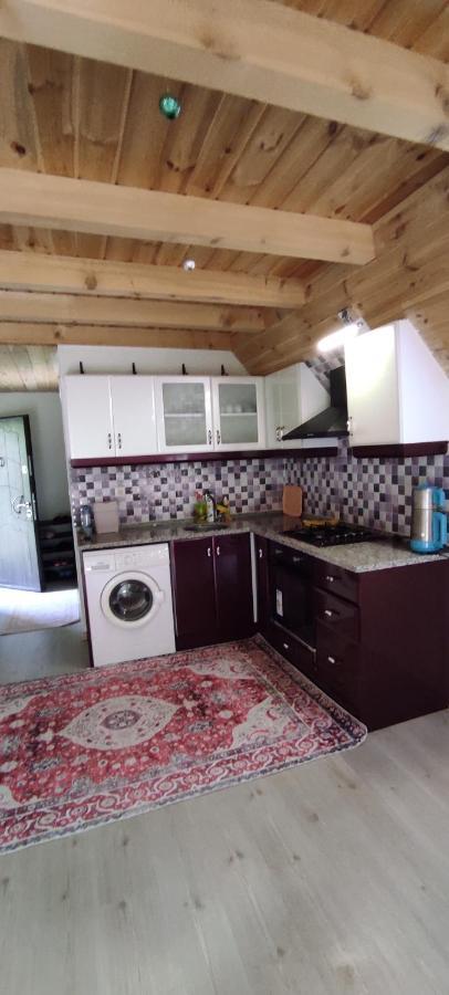 Naturel Apart Bungalow Villa Çamlıhemşin Buitenkant foto